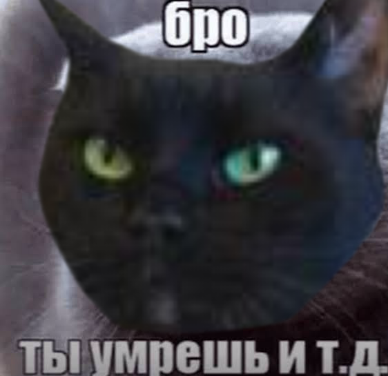 https://upforme.ru/uploads/001c/55/b9/57/173117.png