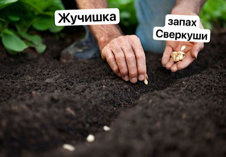 https://upforme.ru/uploads/001c/55/b9/57/466167.jpg