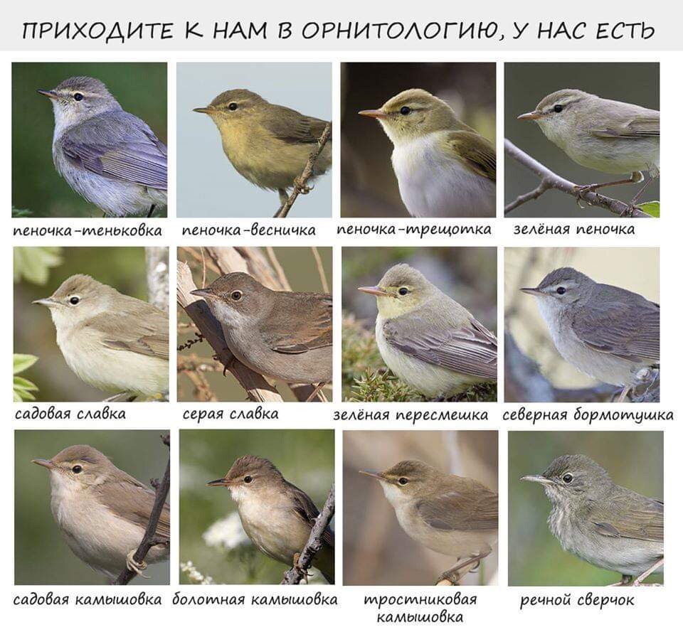 https://upforme.ru/uploads/001c/55/b9/57/508769.jpg