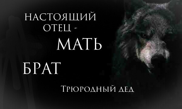 https://upforme.ru/uploads/001c/55/b9/57/521588.jpg