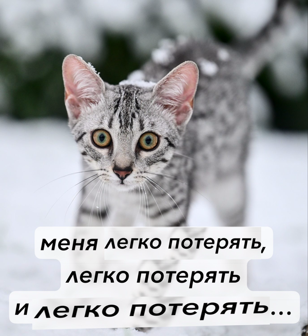 https://upforme.ru/uploads/001c/55/b9/57/t399303.png