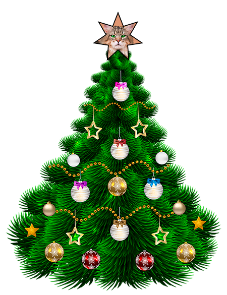 https://upforme.ru/uploads/001c/55/b9/66/59985.png