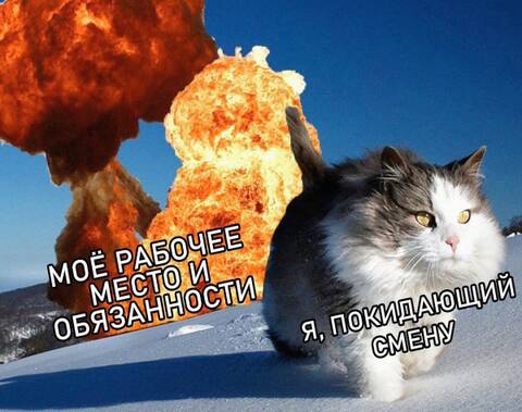 https://upforme.ru/uploads/001c/55/b9/66/t907139.jpg