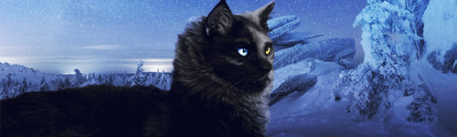 https://upforme.ru/uploads/001c/55/b9/83/521353.png