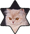 https://upforme.ru/uploads/001c/55/b9/85/226362.png