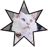 https://upforme.ru/uploads/001c/55/b9/85/732212.png