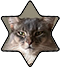 https://upforme.ru/uploads/001c/55/b9/85/747417.png