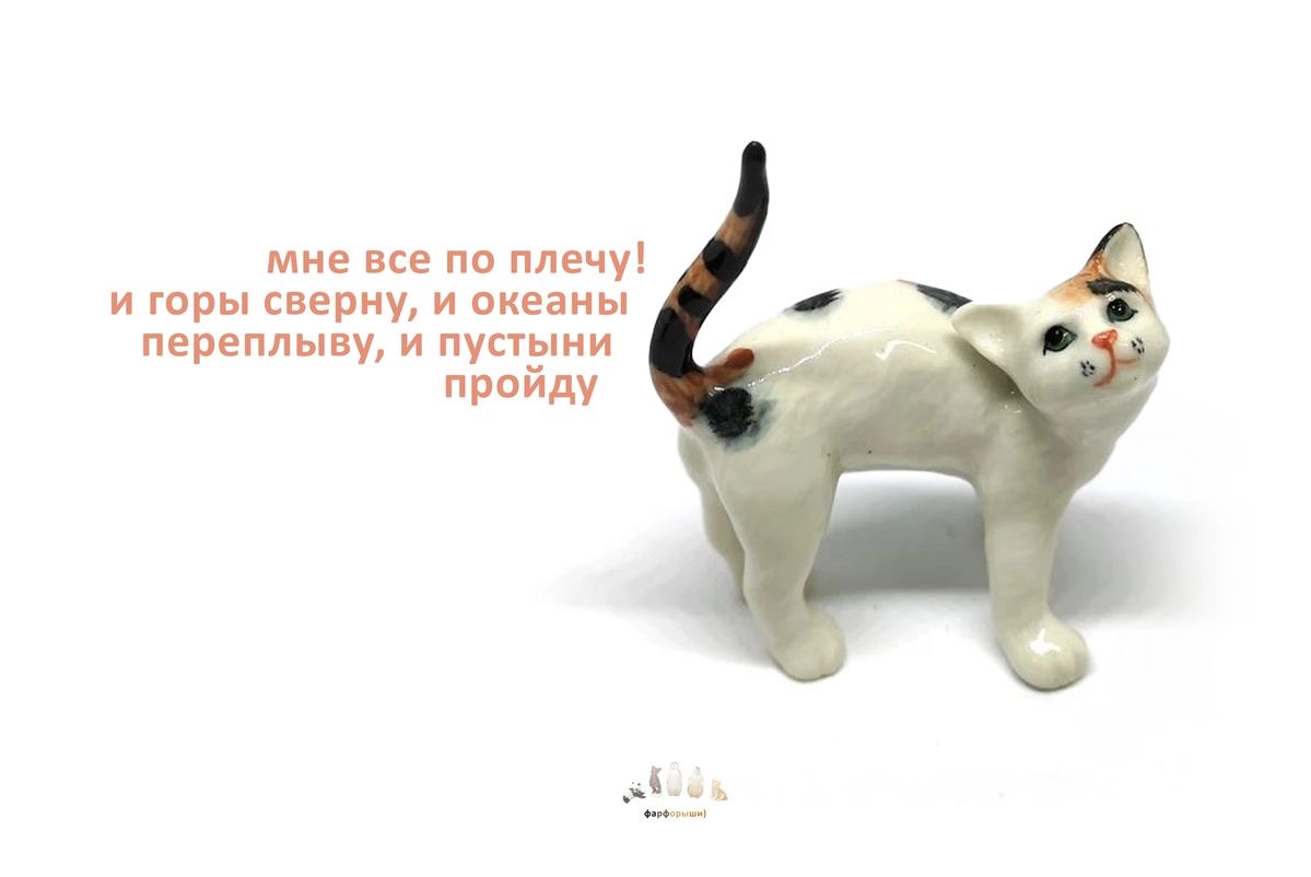 https://upforme.ru/uploads/001c/55/b9/88/348928.jpg