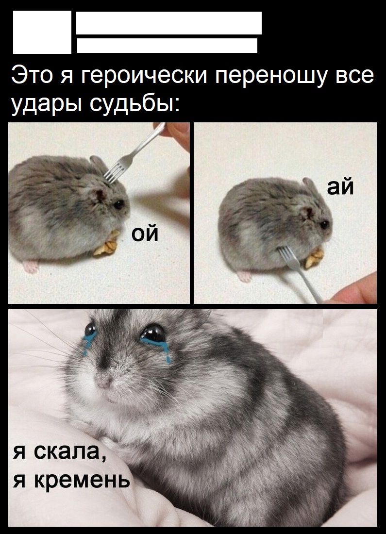 https://upforme.ru/uploads/001c/55/b9/88/370988.jpg