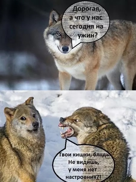 https://upforme.ru/uploads/001c/55/b9/88/431746.jpg