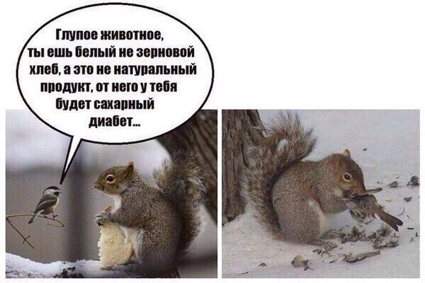 https://upforme.ru/uploads/001c/55/b9/88/548206.jpg