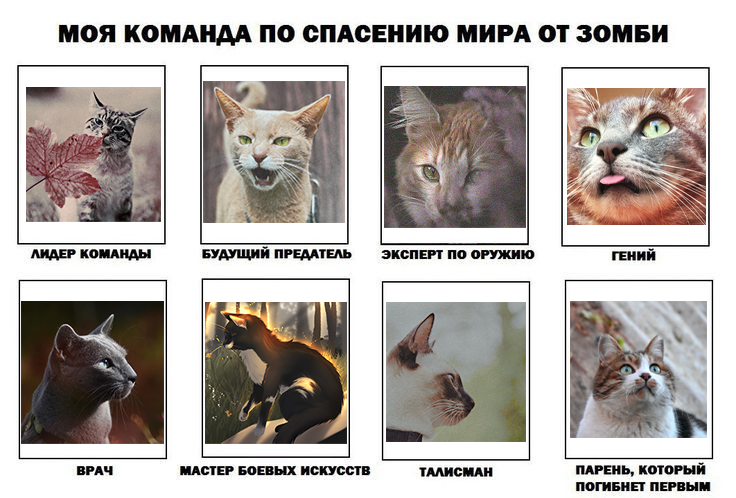 https://upforme.ru/uploads/001c/55/b9/88/661553.png