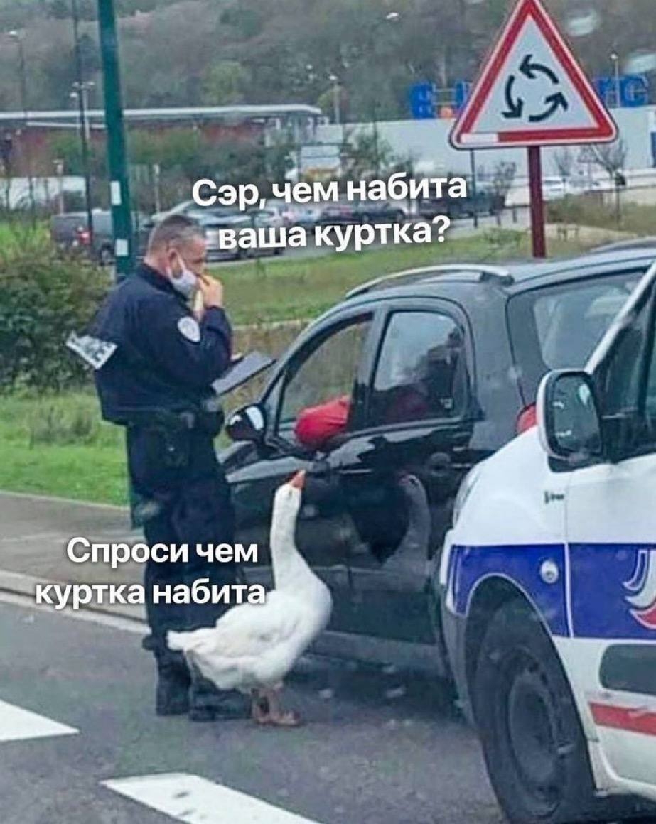 https://upforme.ru/uploads/001c/55/b9/88/785093.jpg