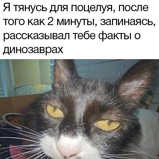 https://upforme.ru/uploads/001c/55/b9/88/794790.jpg