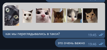 https://upforme.ru/uploads/001c/55/b9/99/t150293.png