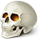 https://upforme.ru/uploads/001c/56/a9/2/257388.png