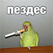 https://upforme.ru/uploads/001c/56/a9/5/499072.png