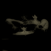 https://upforme.ru/uploads/001c/57/ac/3/t570568.gif