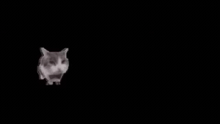 https://upforme.ru/uploads/001c/58/e1/11/530123.gif