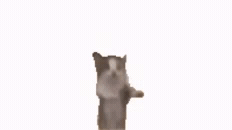 https://upforme.ru/uploads/001c/58/e1/11/t312446.gif