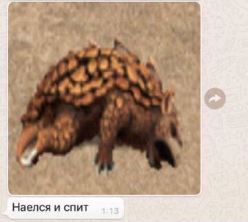 https://upforme.ru/uploads/001c/58/e1/5/t191486.jpg