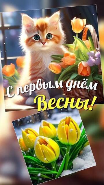 https://upforme.ru/uploads/001c/58/e1/5/t671244.jpg