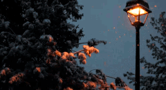 https://upforme.ru/uploads/001c/58/eb/2/626245.gif