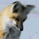 https://upforme.ru/uploads/001c/59/63/4/t520526.gif