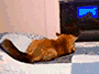 https://upforme.ru/uploads/001c/59/63/4/t933977.gif