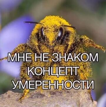https://upforme.ru/uploads/001c/5a/2f/29/t489407.jpg