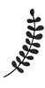 https://upforme.ru/uploads/001c/5b/cc/102/226865.png