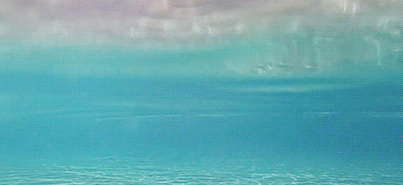 https://upforme.ru/uploads/001c/5b/cc/3/212388.gif