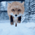 https://upforme.ru/uploads/001c/5b/cc/6/t434379.gif