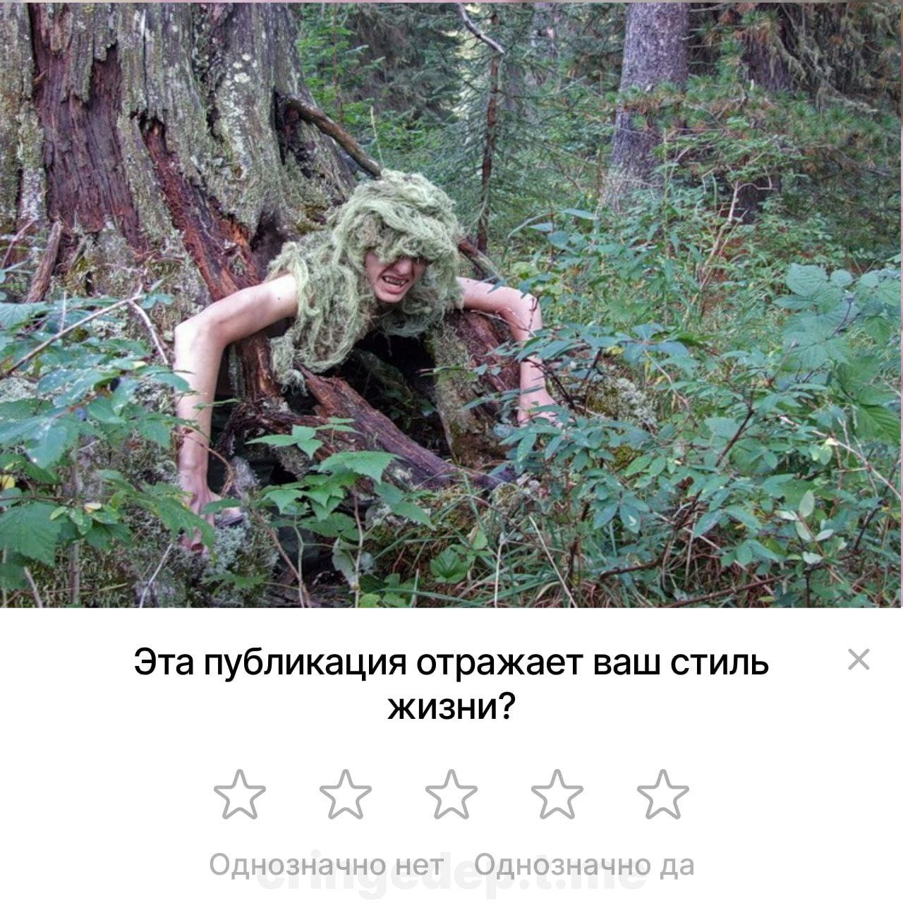 https://upforme.ru/uploads/001c/5c/a8/25/611323.jpg