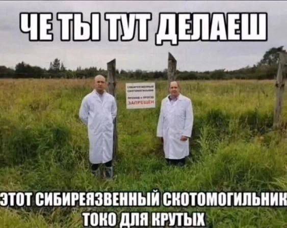 https://upforme.ru/uploads/001c/5c/a8/25/881780.jpg