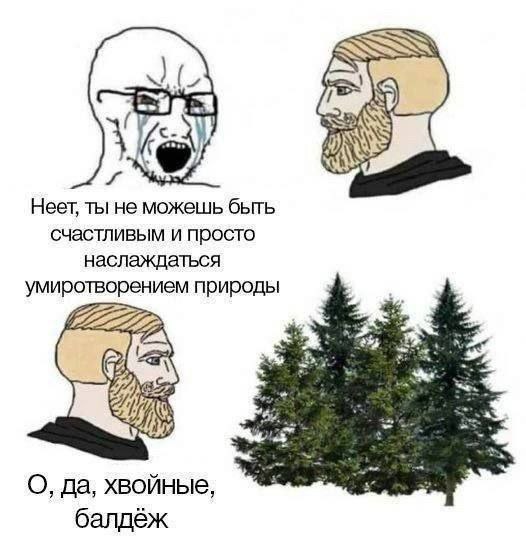 https://upforme.ru/uploads/001c/5c/a8/25/939695.jpg