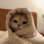 https://upforme.ru/uploads/001c/5e/f0/3/671352.png
