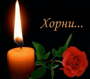 https://upforme.ru/uploads/001c/60/8c/8/t225428.png