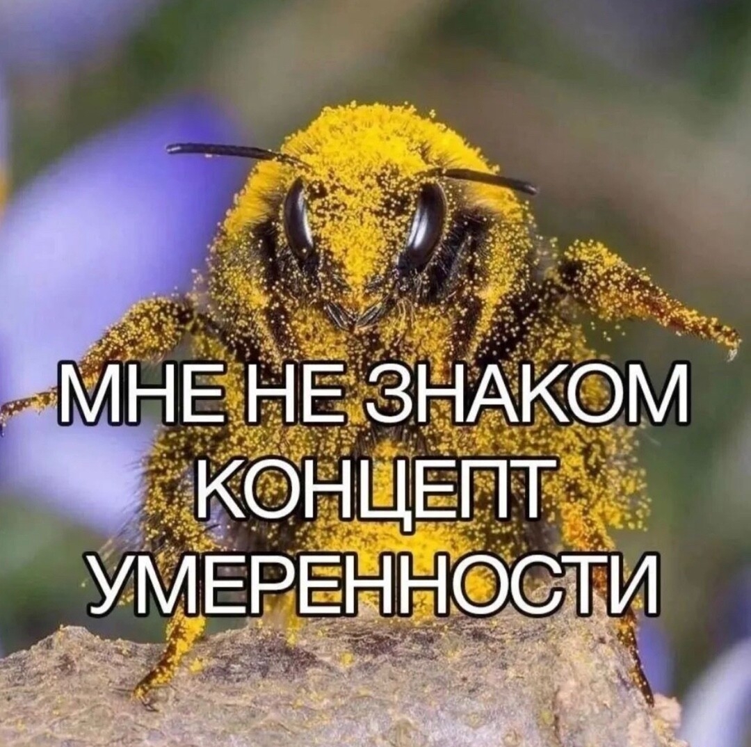 https://upforme.ru/uploads/001c/60/8c/9/629428.jpg