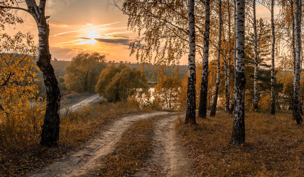 https://upforme.ru/uploads/001c/60/8d/2/297544.png