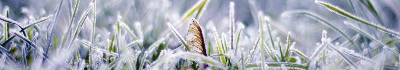https://upforme.ru/uploads/001c/60/8d/2/331277.png
