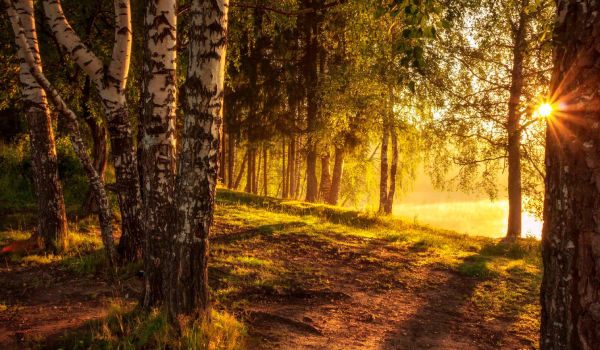 https://upforme.ru/uploads/001c/60/8d/2/334420.png