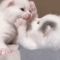 https://upforme.ru/uploads/001c/60/bf/2/944997.gif