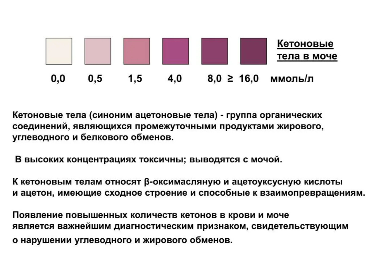 https://upforme.ru/uploads/001c/61/17/2/768242.jpg