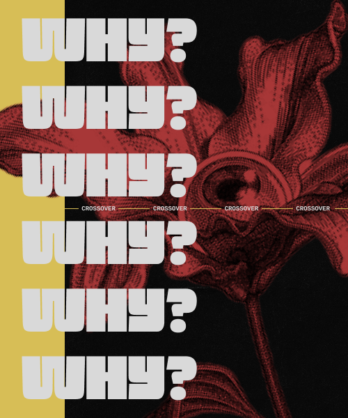 https://upforme.ru/uploads/001c/61/20/17/194430.png