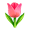 https://upforme.ru/uploads/001c/64/16/6/837057.gif