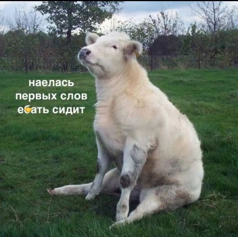 https://upforme.ru/uploads/001c/66/19/10/288190.jpg