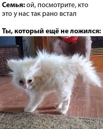 https://upforme.ru/uploads/001c/66/19/21/t955216.jpg