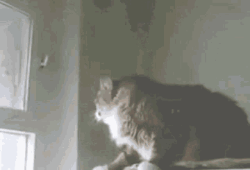 https://upforme.ru/uploads/001c/66/19/24/t676914.gif