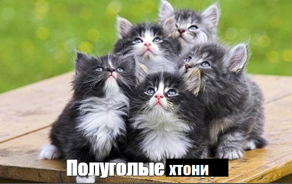 https://upforme.ru/uploads/001c/66/19/6/945308.png